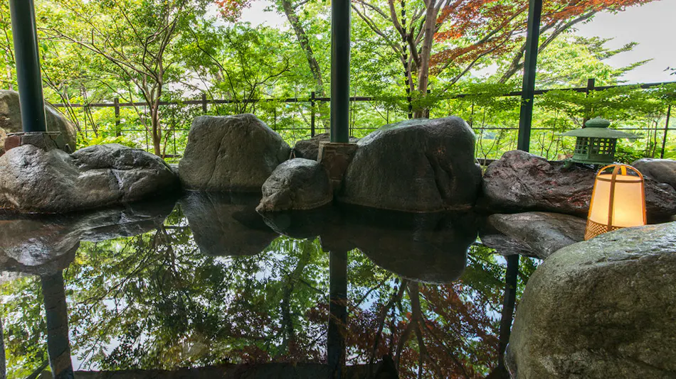 Kinugawa Park Hotels