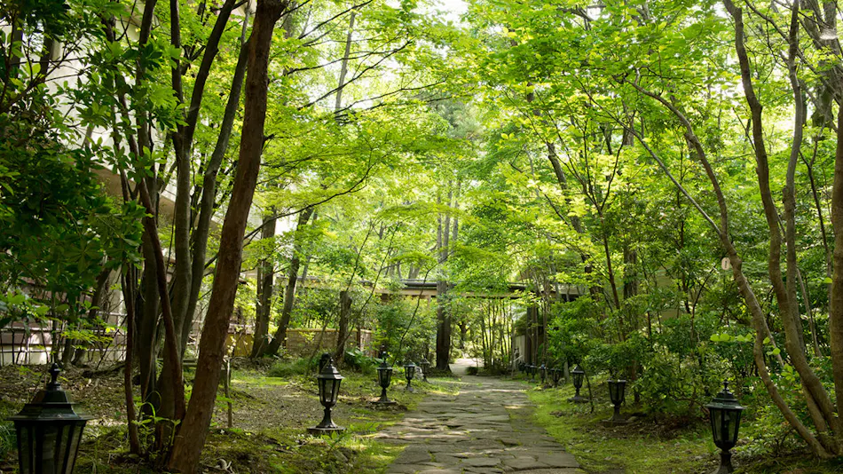 Kinugawa Park Hotels