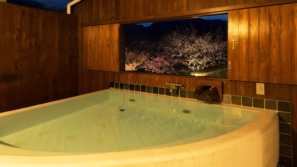 Hotel Sea Shell