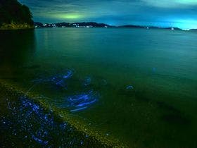 ペンション　エリエス