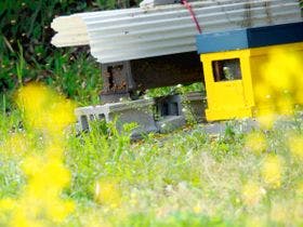 ペンション　エリエス