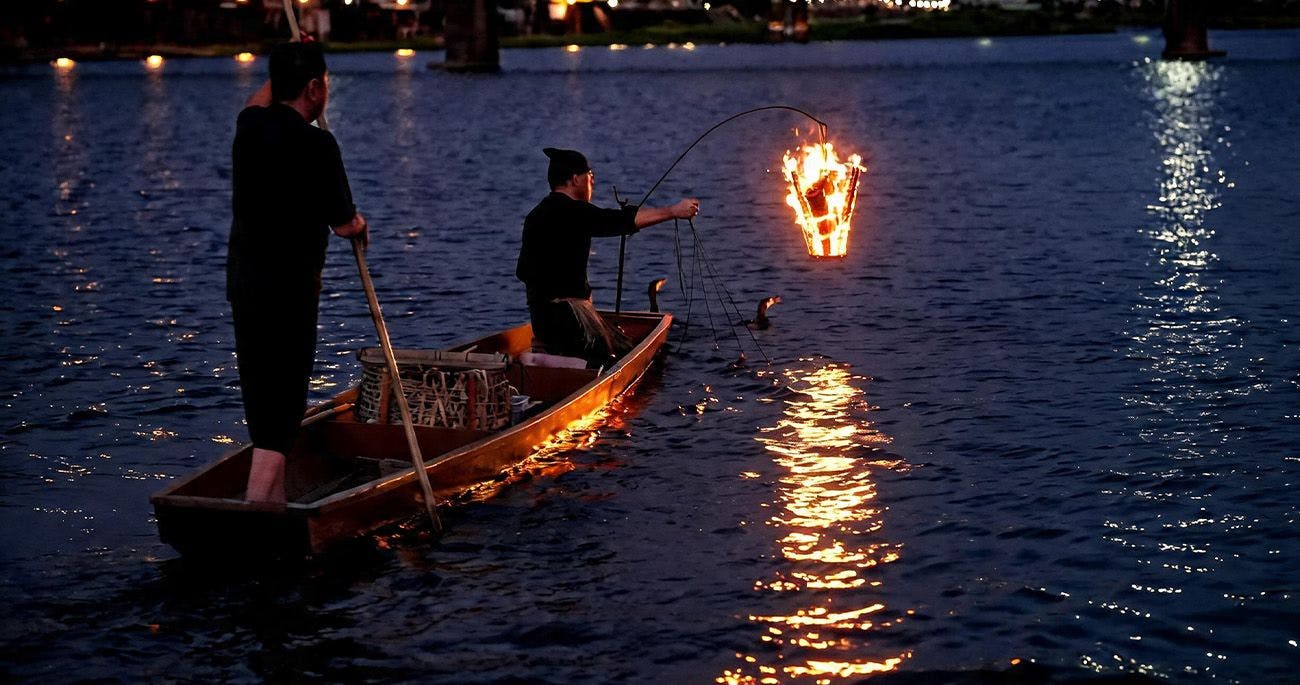 การล่องเรือชมการจับปลาด้วยนกกาน้ำที่ฮิตะ แต่งแต้มค่ำคืนฤดูร้อน