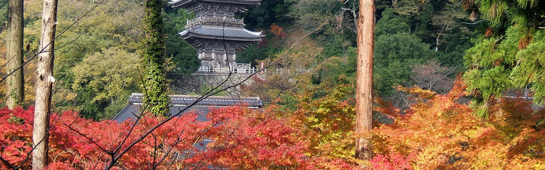境内の宿 紅葉館