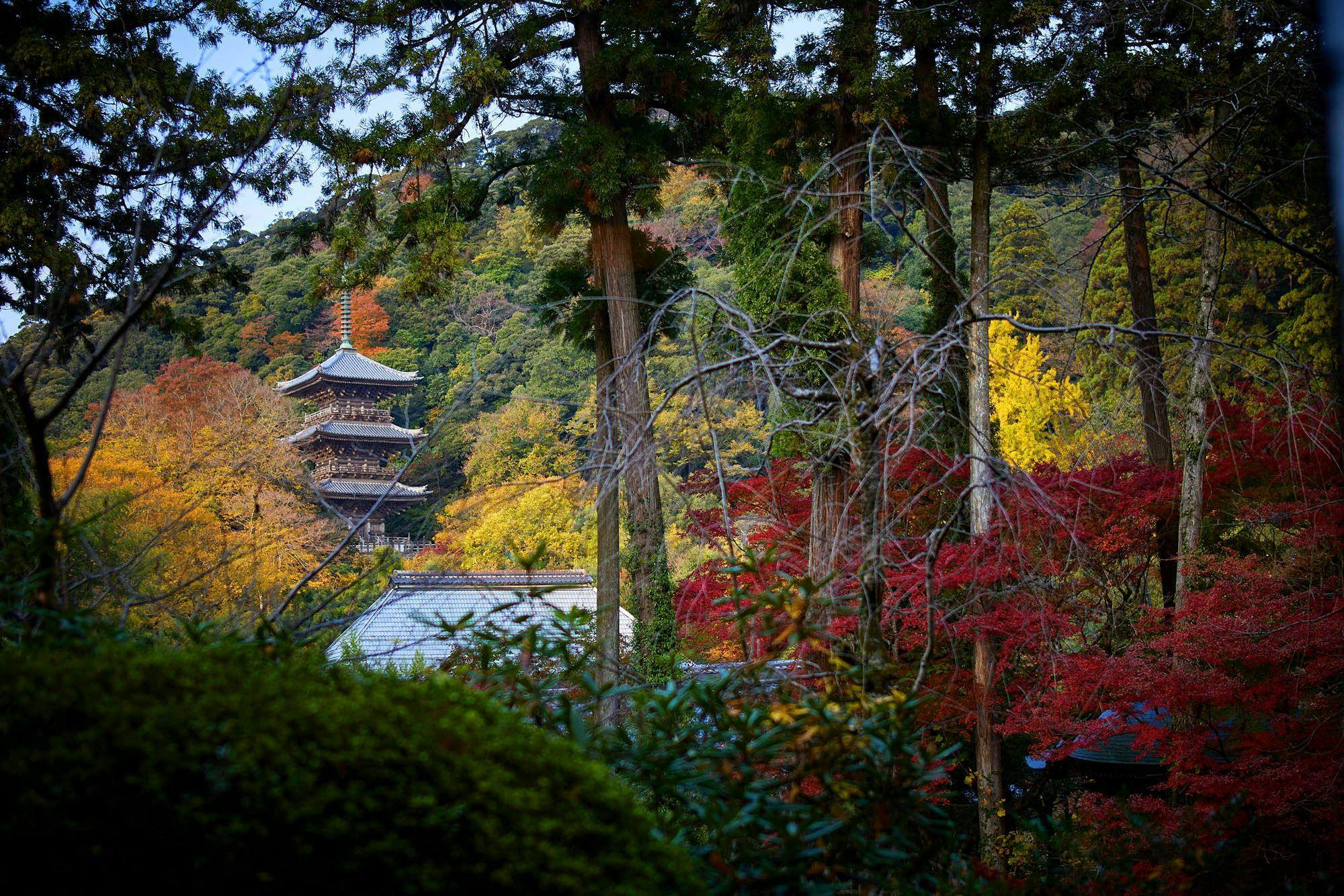 境内の宿 紅葉館