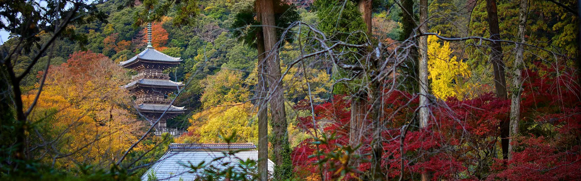 境内の宿 紅葉館