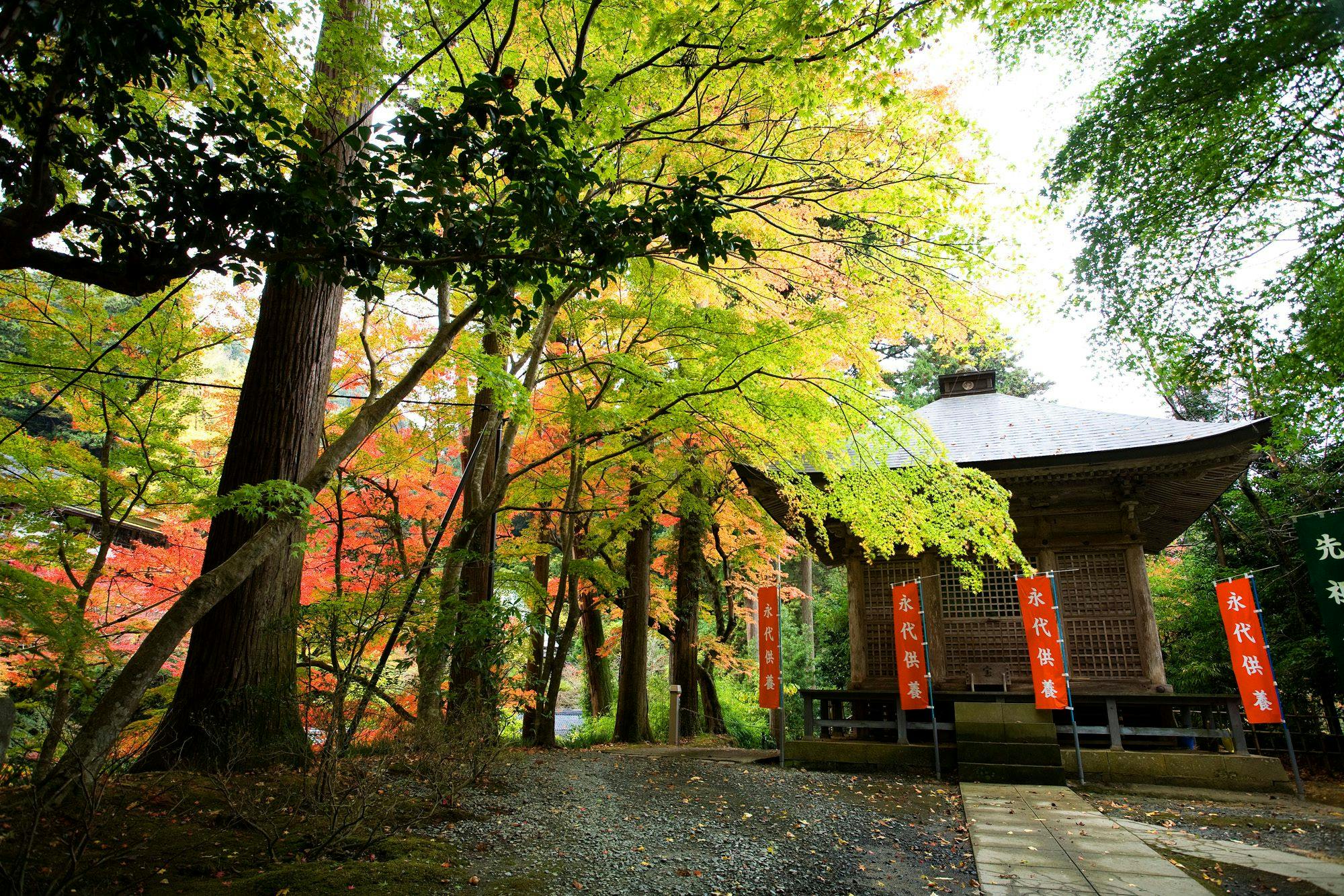 境内の宿 紅葉館