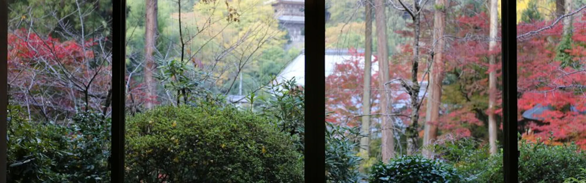 境内の宿 紅葉館
