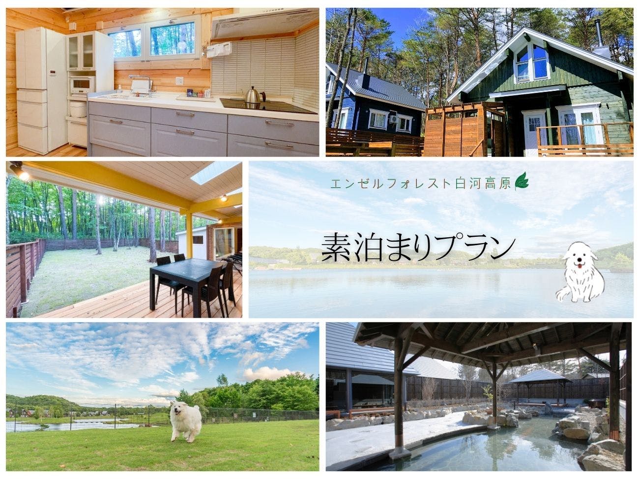 - แผนไม่รวมอาหาร