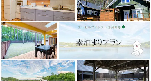 - แผนไม่รวมอาหาร