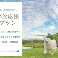 แผนสนับสนุนการท่องเที่ยวฤดูใบไม้ผลิ