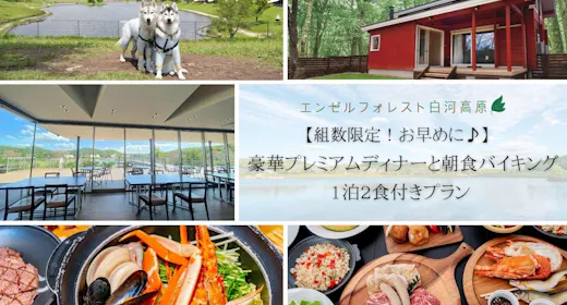 〇【組数限定!お早めに!】 豪華プレミアムディナーと朝食バイキング 1泊2食付きプラン
