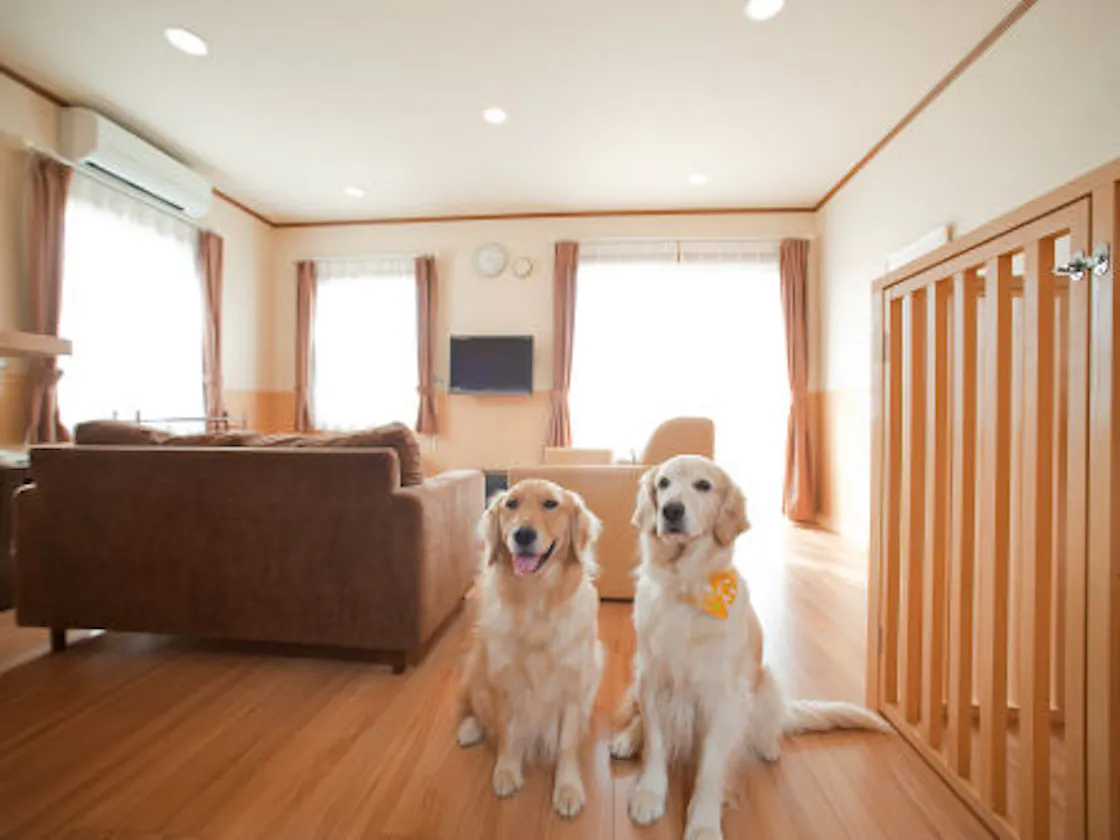 ドッグヴィラ3~4名タイプ