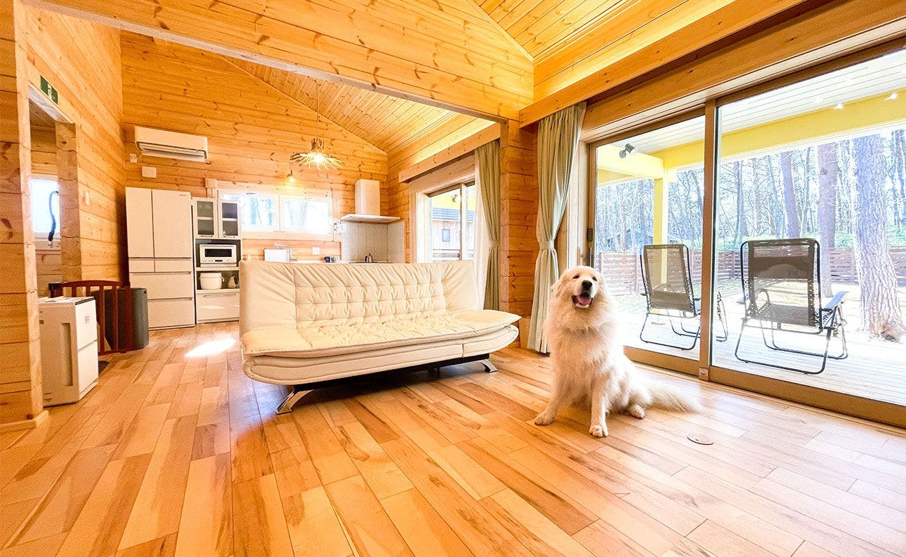 東北の離れ コテージのお部屋 安く泊まれるホテル 旅館 選 お得に宿泊予約 Yahoo トラベル