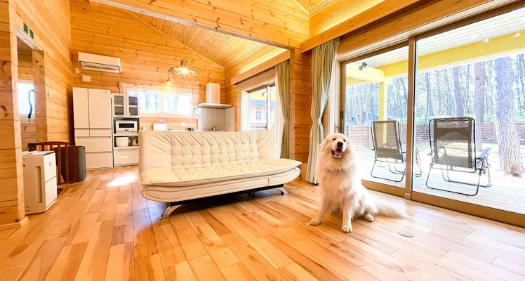 東北の離れ コテージのお部屋 安く泊まれるホテル 旅館 選 お得に宿泊予約 Yahoo トラベル 東北の離れ コテージのお部屋 安く泊まれるホテル 旅館 選 お得に宿泊予約 Yahoo トラベル