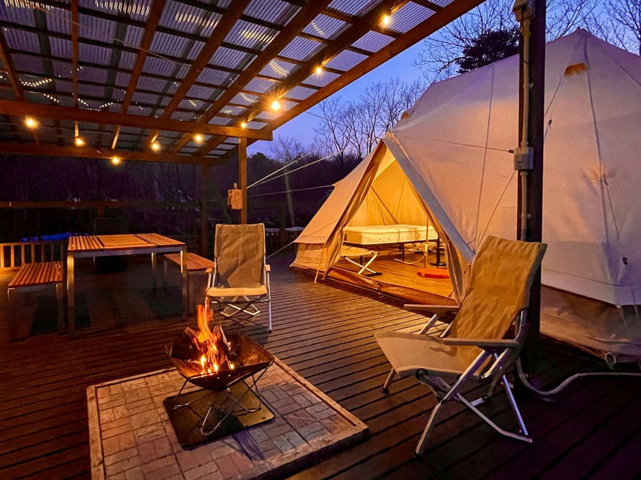 แกลมปิ้ง GP ที่เป็นมิตรกับสุนัข