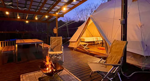 แกลมปิ้ง GP ที่เป็นมิตรกับสุนัข