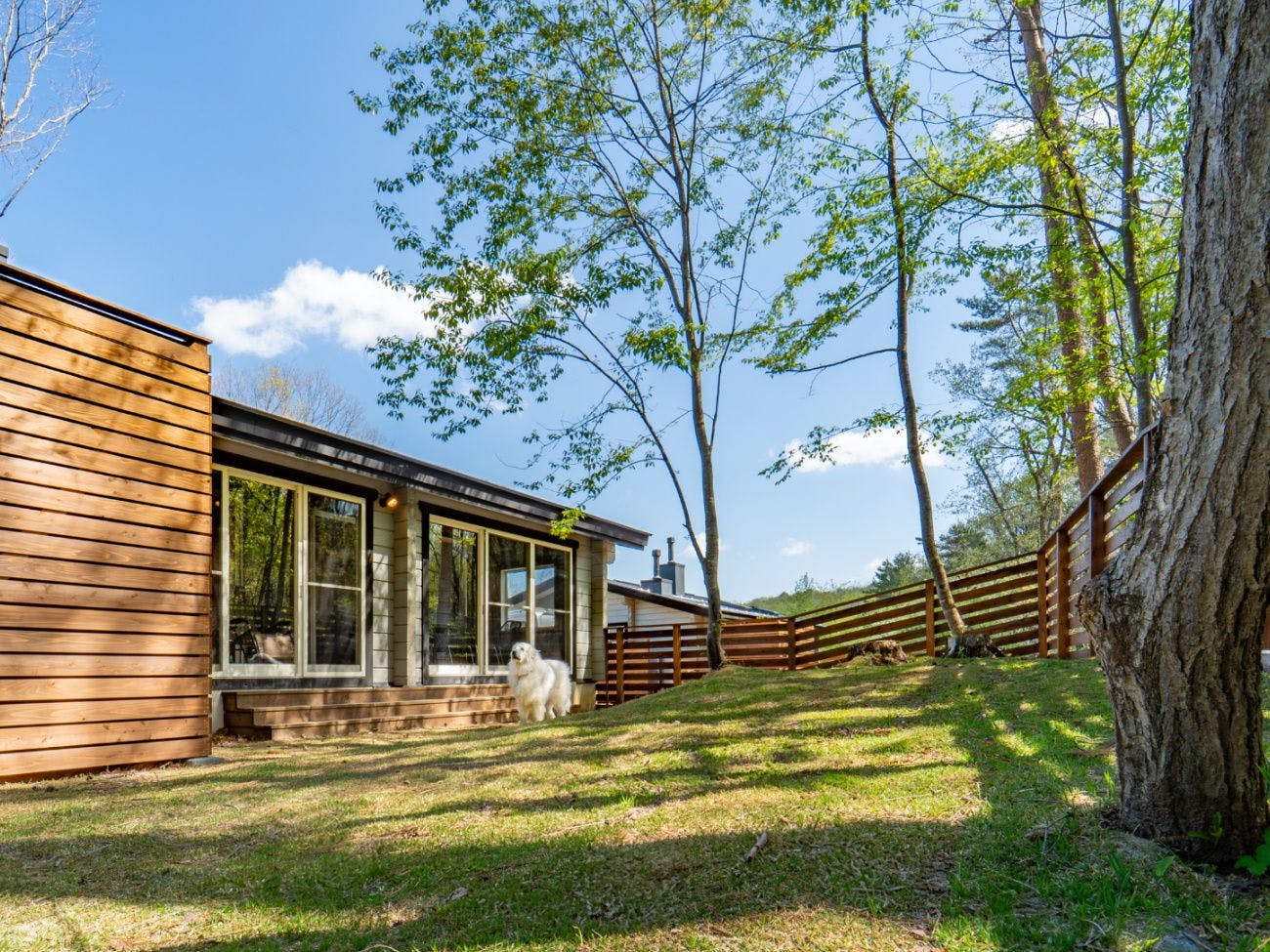 アルモ ハルモニア　ドックラン