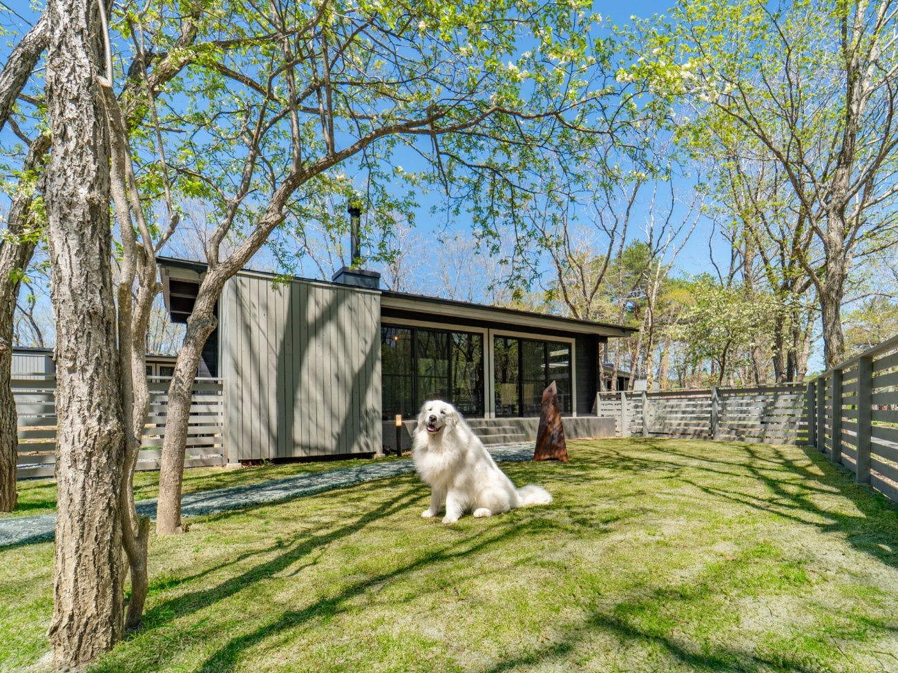 การ์เด้นซันเทอเรส ด็อกรัน