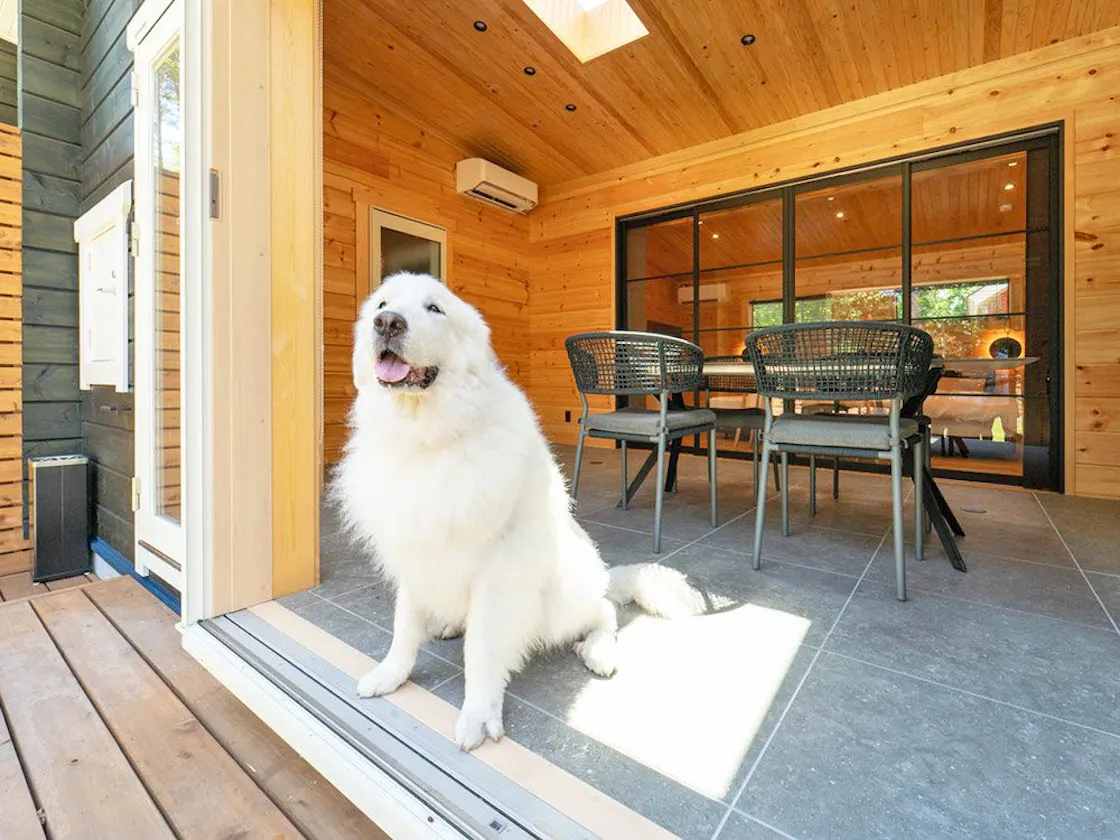 【ログプレミアム】ヴァロ