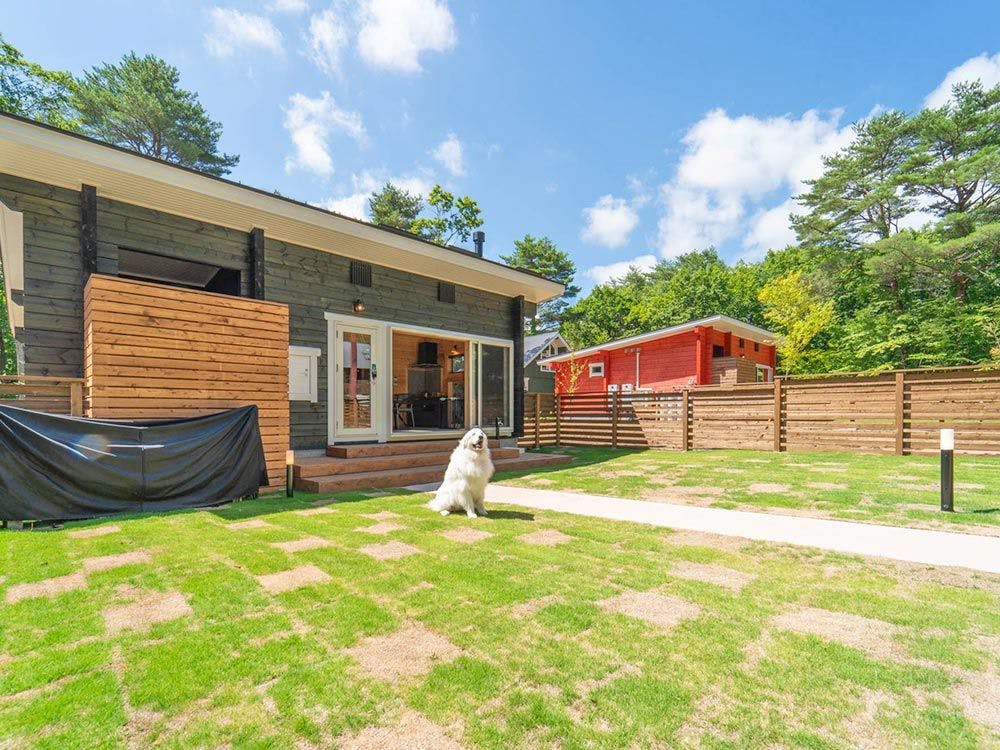 【Log Premium】วาโร