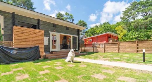 【Log Premium】วาโร