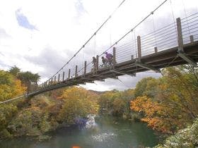 エンゼルフォレスト那須白河