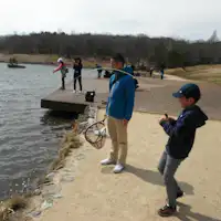 การตกปลากีฬาโดยใช้เหยื่อปลอมหรือฟลาย