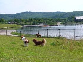 エンゼルフォレスト那須白河