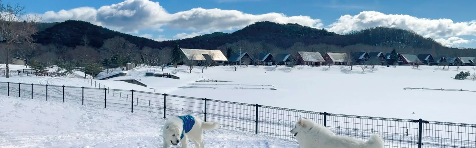 エンゼルフォレスト白河高原