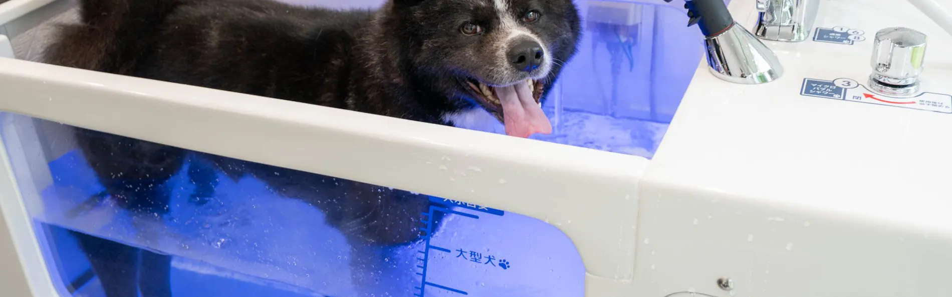 エンゼルフォレスト白河高原
