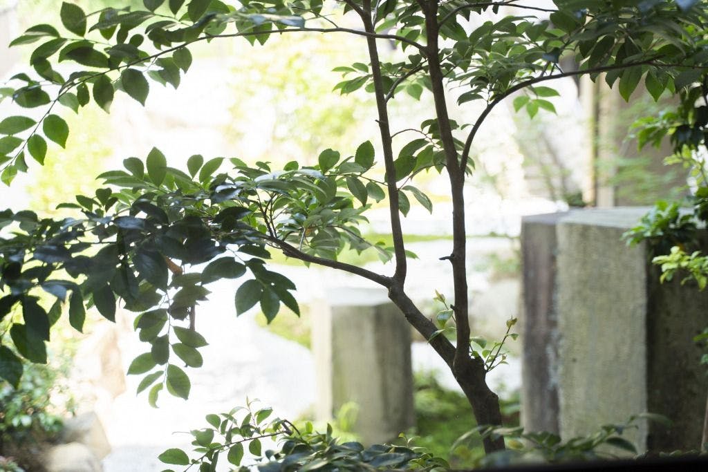 郡上八幡ホテル積翠園
