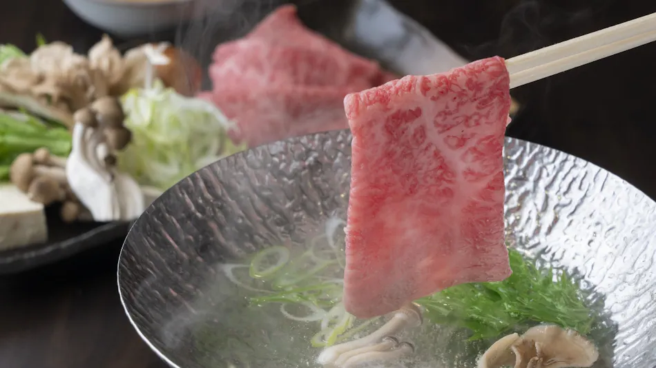 Gujo Hachiman Hotel Sekisuien