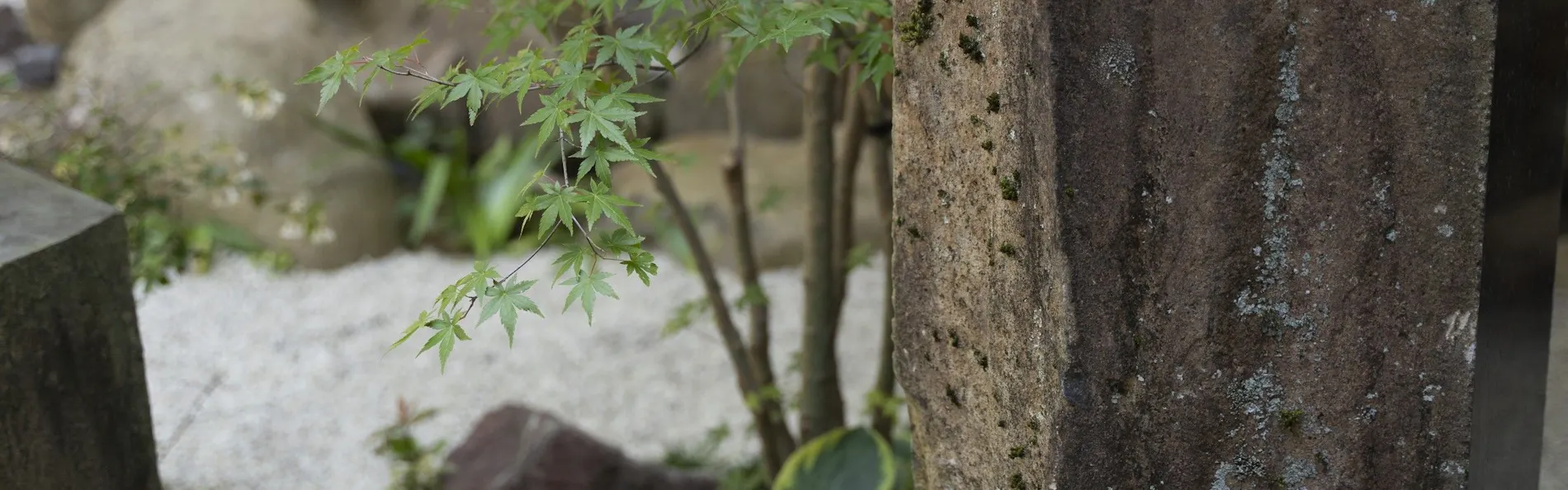 郡上八幡ホテル積翠園
