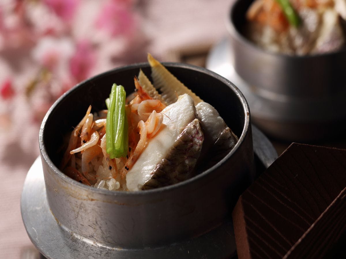 【リゾートビュッフェ春】