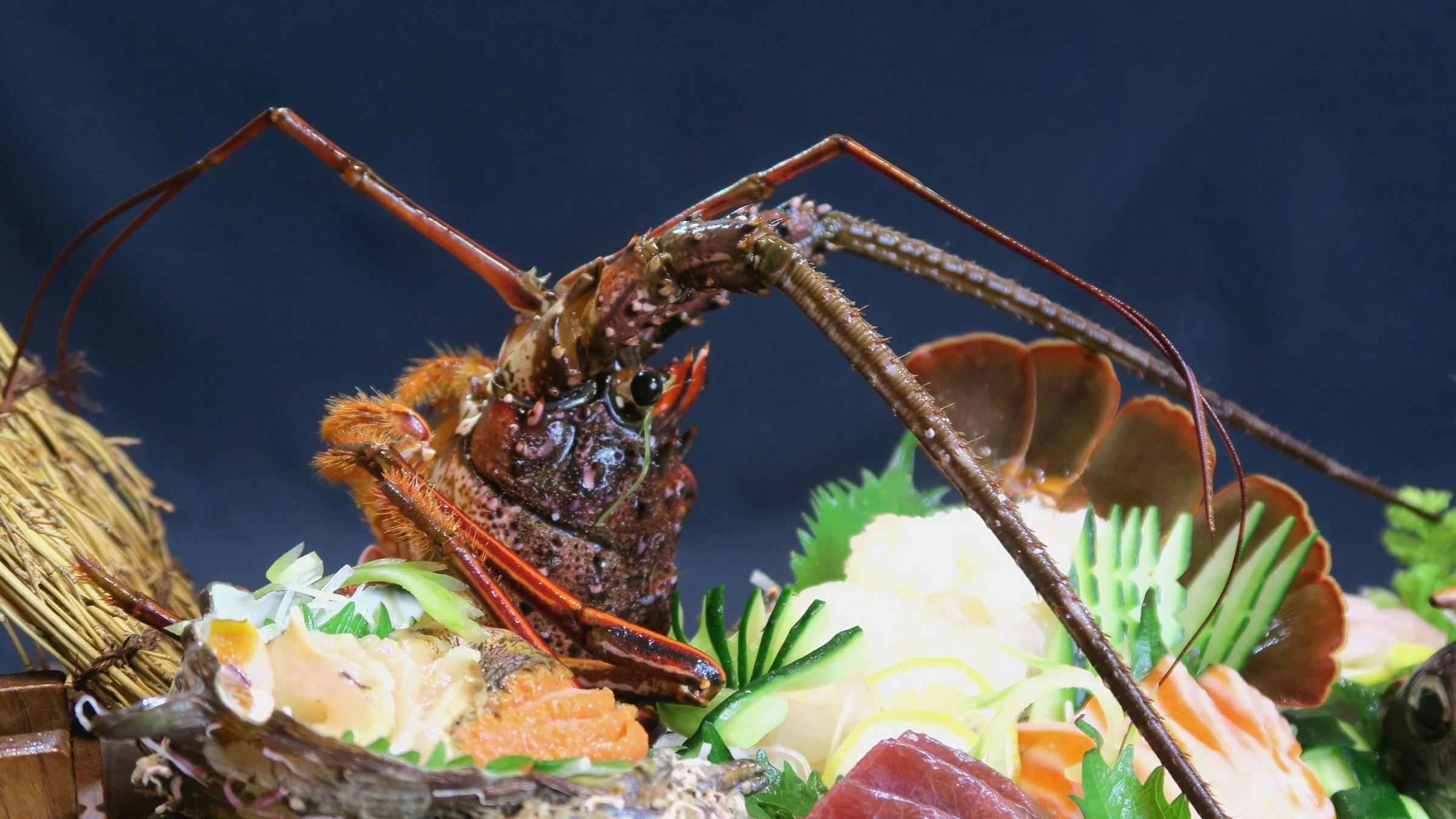 ひたち湯海の宿 はぎ屋