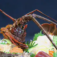 Sliced Raw “Hitachi-no-Kuni” Spiny Lobster (Serves 2)