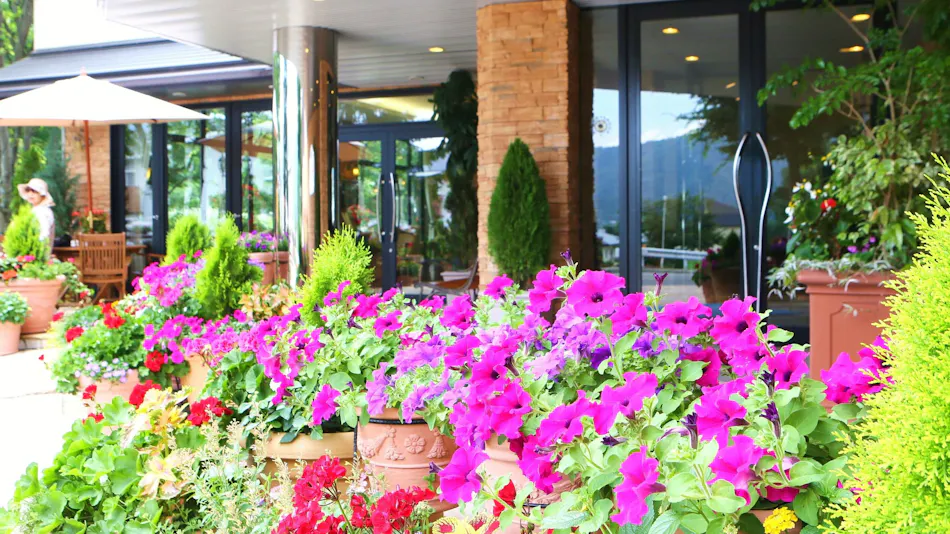 Hotel Hakuba