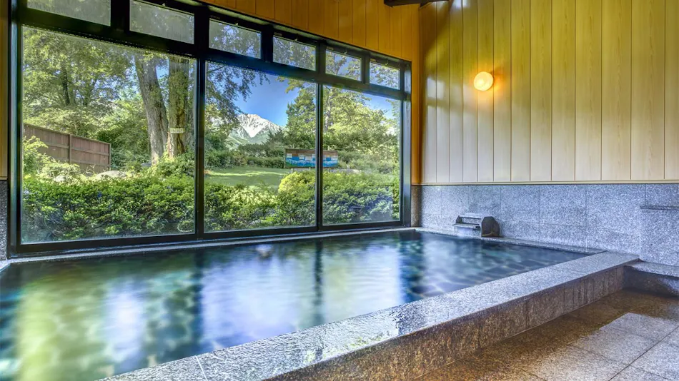 Hotel Hakuba