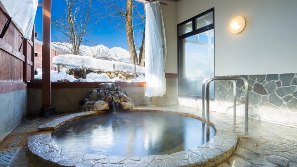 Hotel Hakuba