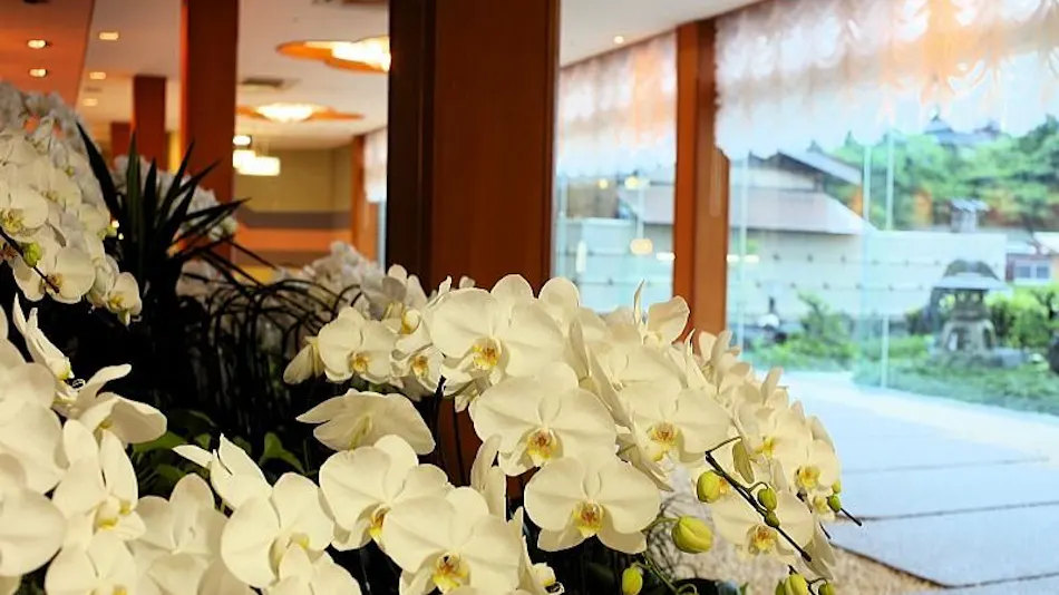 Toba Orchid, Near Ise Grand Shrine
