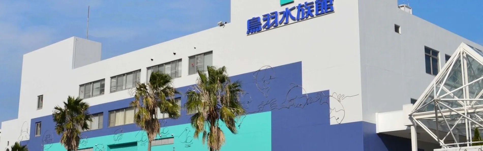 伊勢神宮のお膝元 鳥羽 胡蝶蘭