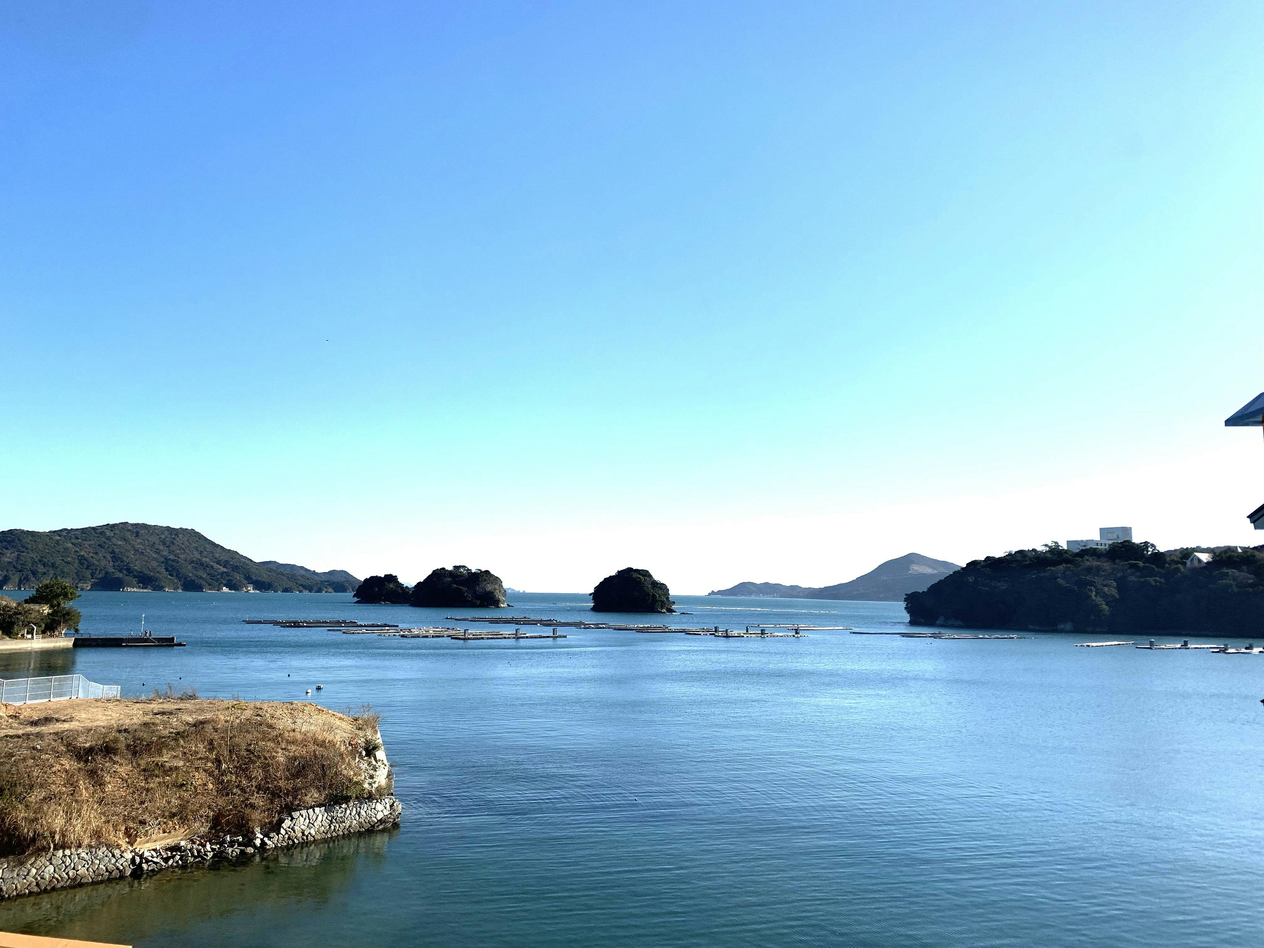 伊勢神宮のお膝元　鳥羽　胡蝶蘭