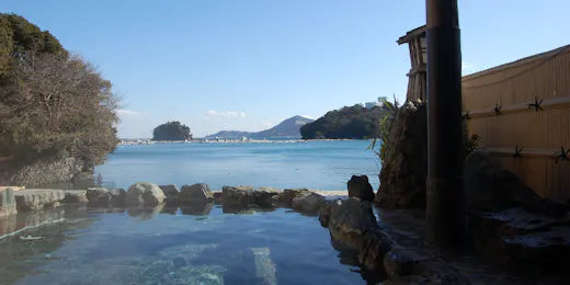 伊勢神宮のお膝元 鳥羽 胡蝶蘭