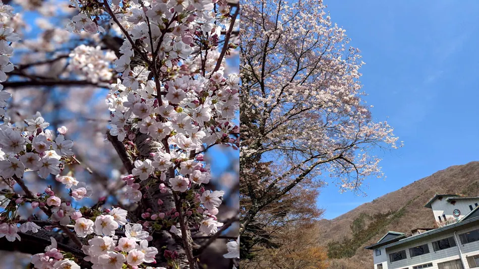 Ginshotei Awashima