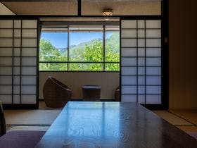 源泉かけ流しの宿 吟松亭あわしま 2枚目