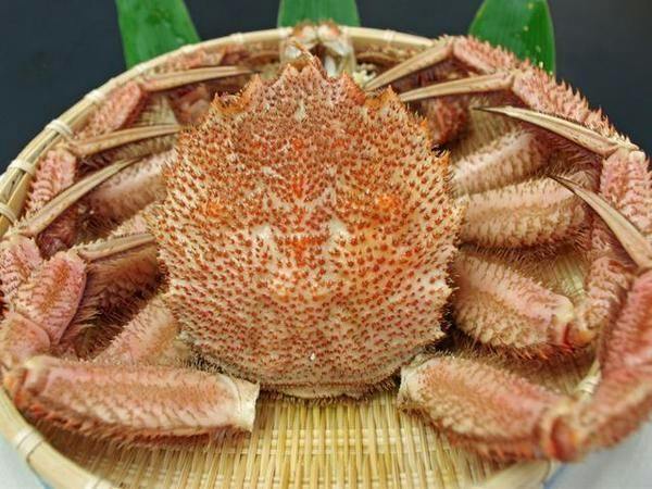 休暇村 支笏湖