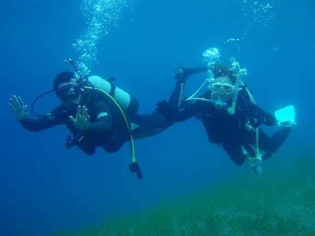 ガイドが丁寧にレクチャーしてくれるて安心