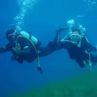 ガイドが丁寧にレクチャーしてくれるて安心