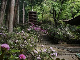 ザ カシハラ （THE KASHIHARA 【旧店名】橿原ロイヤルホテル）