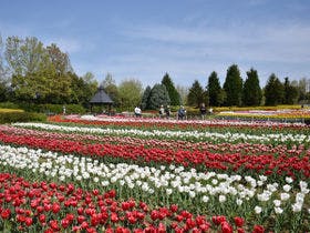 ザ カシハラ （THE KASHIHARA 【旧店名】橿原ロイヤルホテル）